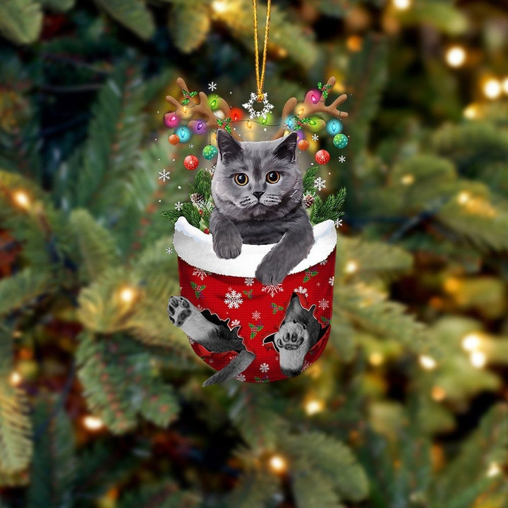 Egyptian Mau Cat In Snow Pocket Christmas Ornament Flat Acrylic Cat Ornament