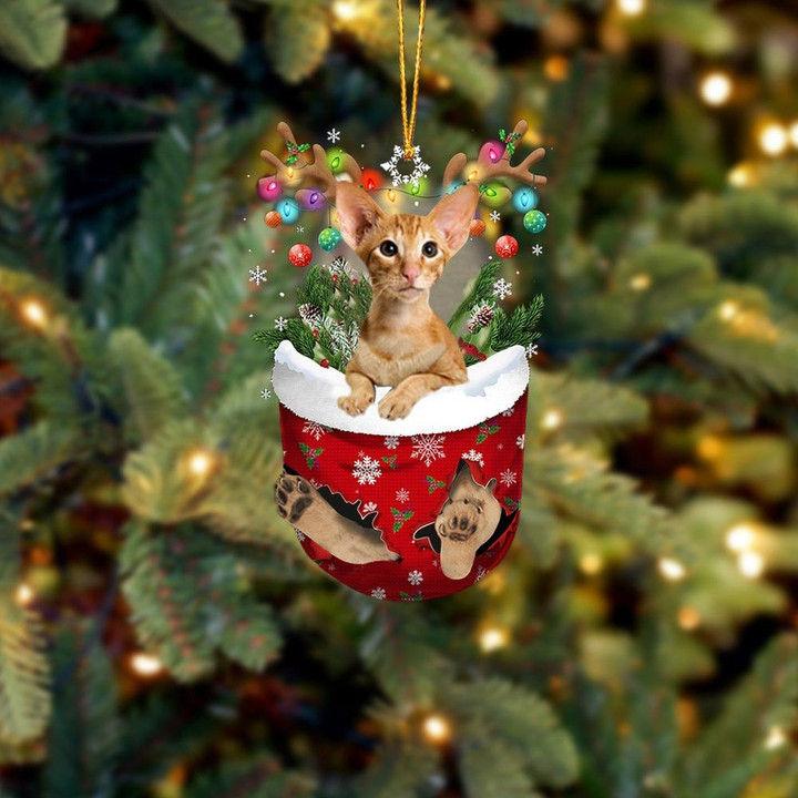 Cat Oriental Shorthair In Snow Pocket Christmas Ornament Flat Acrylic Cat Ornament