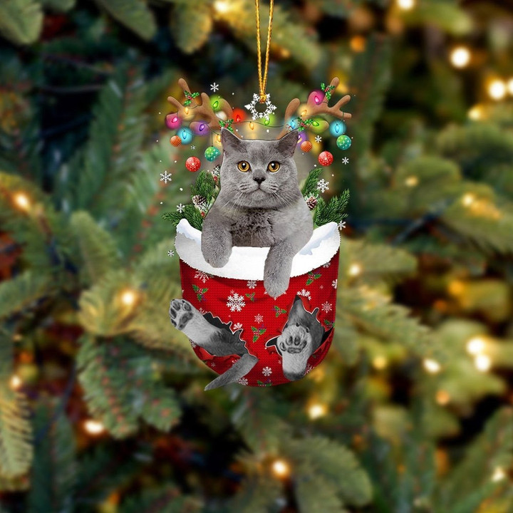 Cat British Shorthair 2 In Snow Pocket Christmas Ornament Flat Acrylic Cat Ornament