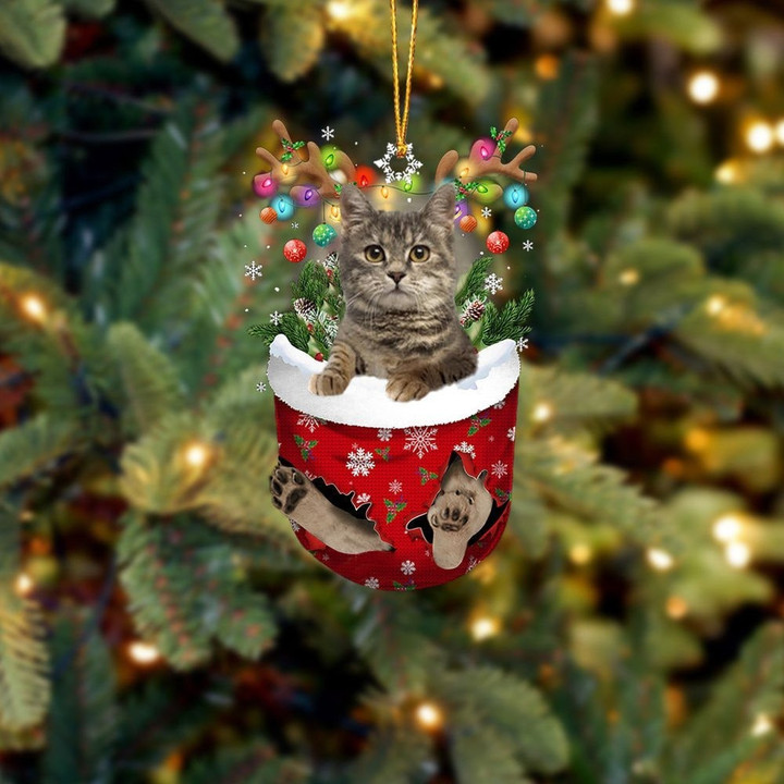 European Shorthair In Snow Pocket Christmas Ornament Flat Acrylic Cat Ornament