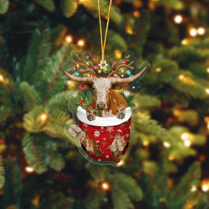 Dilypod TX Longhorn In Pocket Christmas Ornament Flat Acrylic Farmhouse Ornament