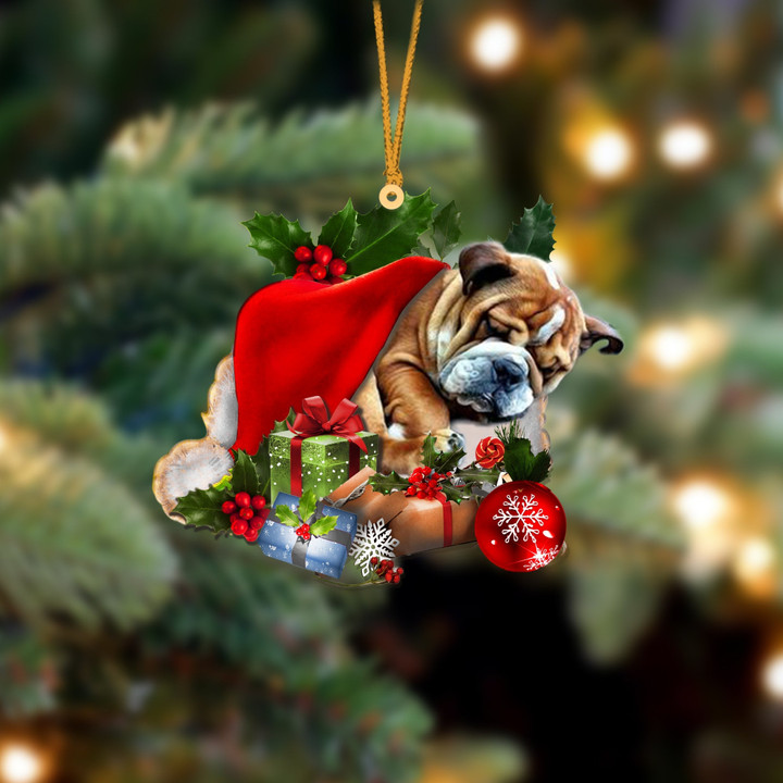 Bulldog Sleeping In Hat Christmas Ornament Two Sided