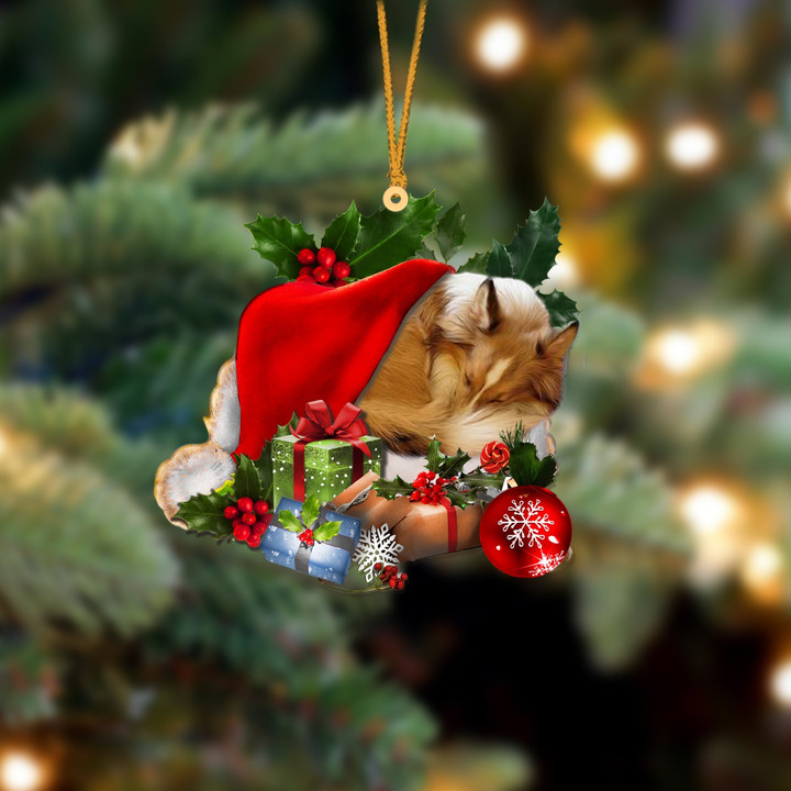 Sheltie Sleeping In Hat Christmas Ornament Two Sided