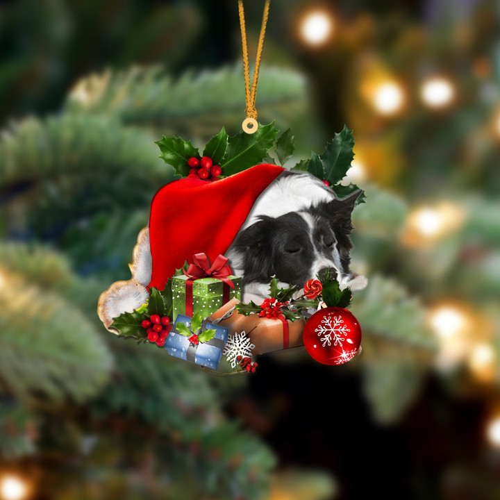 Border Collie Sleeping In Hat Christmas Ornament Two Sided