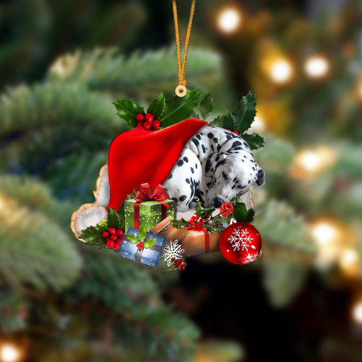 Dalmatian Sleeping In Hat Christmas Ornament Two Sided