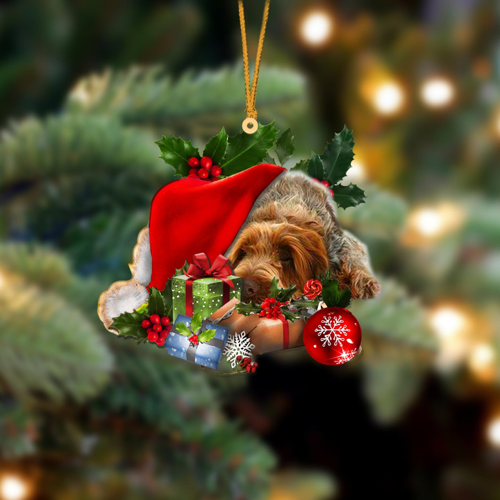 Spinone Italiano Sleeping In Hat Christmas Ornament Two Sided
