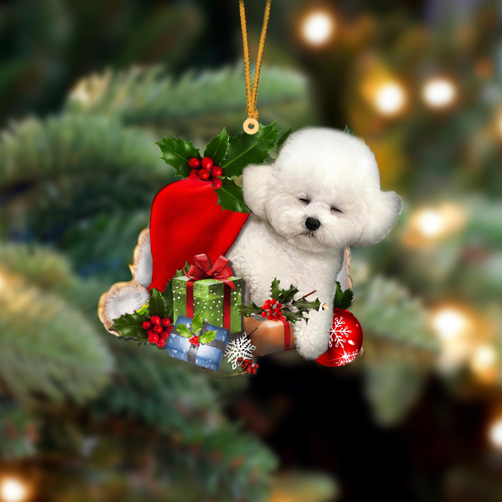 Bichon Frise Sleeping In Hat Christmas Ornament Two Sided