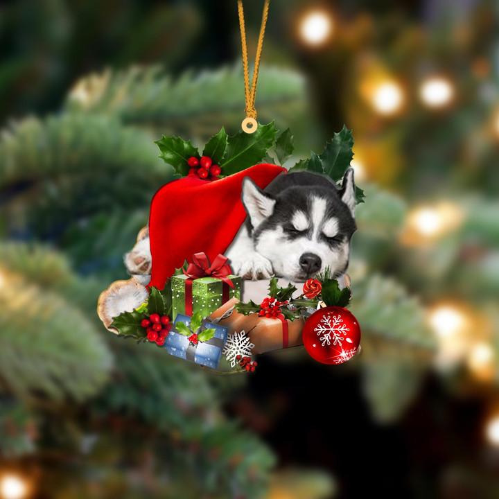 Siberian Husky Sleeping In Hat Christmas Ornament Two Sided