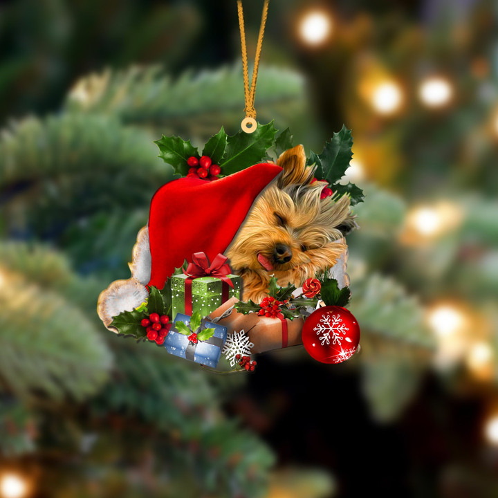 Yorkshire Terrier2 Sleeping In Hat Christmas Ornament Two Sided