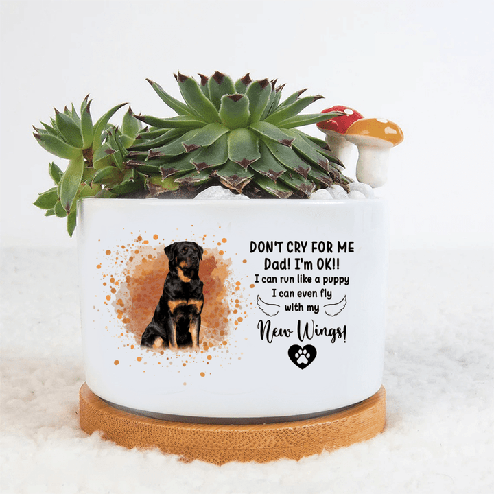 Personalized Pet Memorial Flower Pot, Don't Cry For Me, Custom Name and Photo, Dog Memorial Gifts