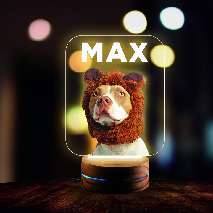 Personalized Light as Dog Mom Pet Lover Gift - Gift For Kids - Custom Lamp Personalized Pet Dog Portrait