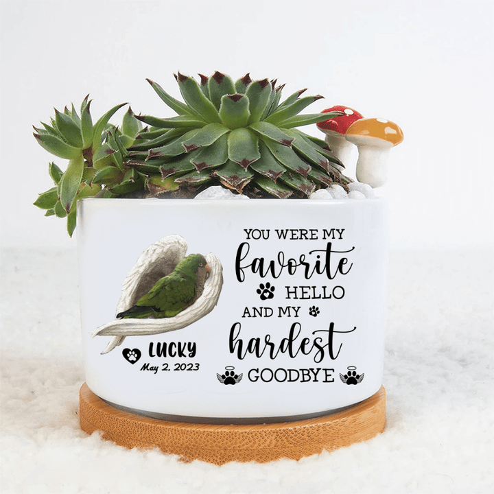 Personalized Quaker Parrot Sleep In The Wings Angel Plant Pot, Memorial Animal Gift, Gift For Animal Lovers