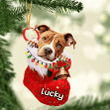 Customized American Pit Bull Terrier in Stocking Christmas Ornament for American Pit Bull Terrier Lovers