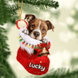 Customized American Staffordshire Terrier in Stocking Christmas Ornament for American Staffordshire Terrier Lovers