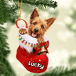 Customized Australian Terrier in Stocking Christmas Ornament for Australian Terrier Lovers