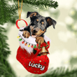 Customized Beauceron in Stocking Christmas Ornament for Beauceron Lovers