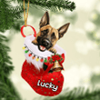 Customized Belgian Malinois in Stocking Christmas Ornament for Belgian Malinois Lovers