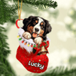 Customized Bernese Mountain Dog in Stocking Christmas Ornament for Bernese Mountain Dog Lovers