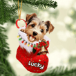 Customized Biewer Terrier in Stocking Christmas Ornament for Biewer Terrier Lovers