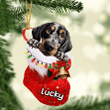 Customized Bluetick in Stocking Christmas Ornament for Bluetick Lovers