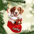 Customized Brittany in Stocking Christmas Ornament for Brittany Lovers