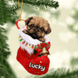 Customized Brussels Griffon in Stocking Christmas Ornament for Brussels Griffon Lovers