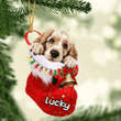 Customized Clumber Spaniel in Stocking Christmas Ornament for Clumber Spaniel Lovers