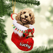 Customized Cockapoo in Stocking Christmas Ornament for Cockapoo Lovers