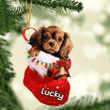 Customized English Toy Spaniel in Stocking Christmas Ornament for English Toy Spaniel Lovers