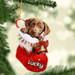 Customized Labrador Retriever in Stocking Christmas Ornament for Labrador Retriever Lovers