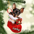 Customized Miniature Pinscher in Stocking Christmas Ornament for Miniature Pinscher Lovers