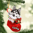 Customized Siberian Husky in Stocking Christmas Ornament for Siberian Husky Lovers