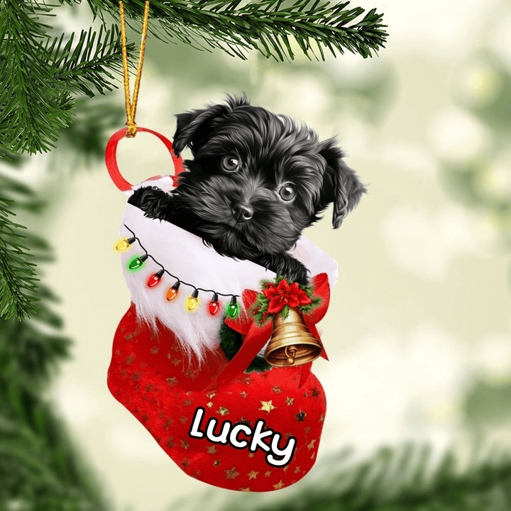 Personalized Affenpinscher in Stocking Christmas Ornament for Affenpinscher Lovers