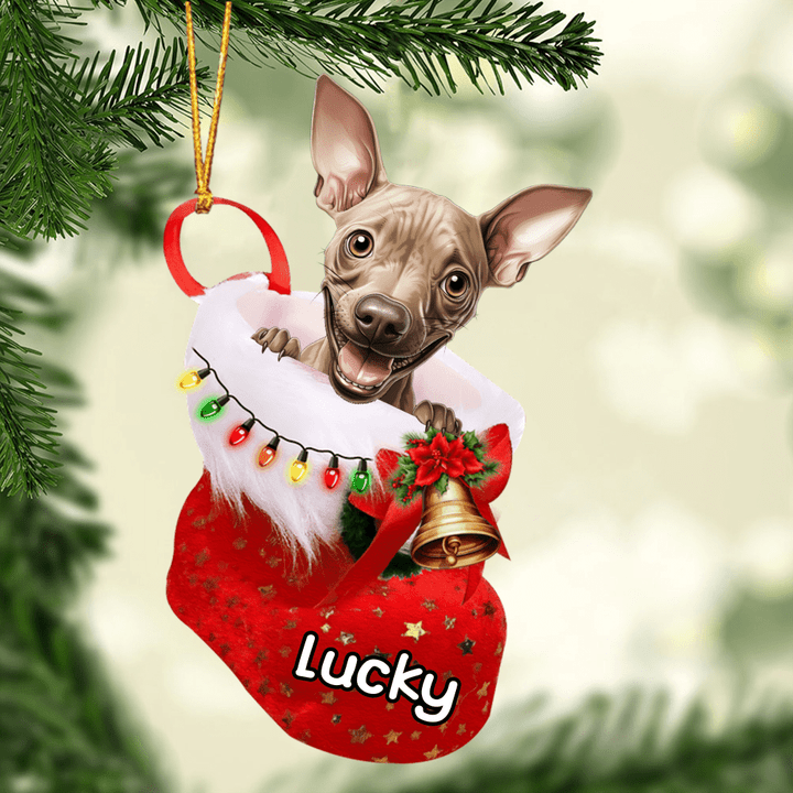Customized American Hairless Terrier in Stocking Christmas Ornament for American Hairless Terrier Lovers