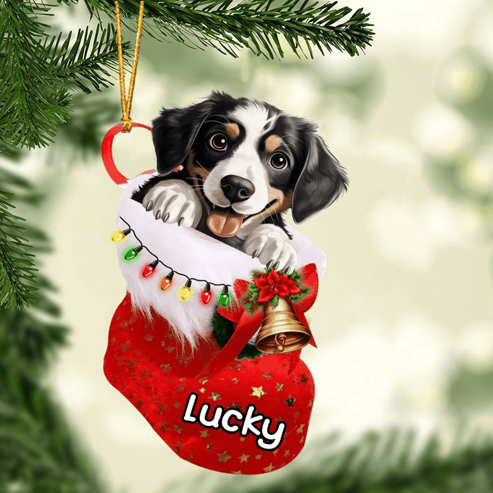 Customized Appenzeller Sennenhund in Stocking Christmas Ornament for Appenzeller Sennenhund Lovers