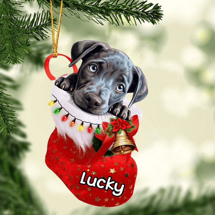 Customized Blue Lacy in Stocking Christmas Ornament for Blue Lacy Lovers