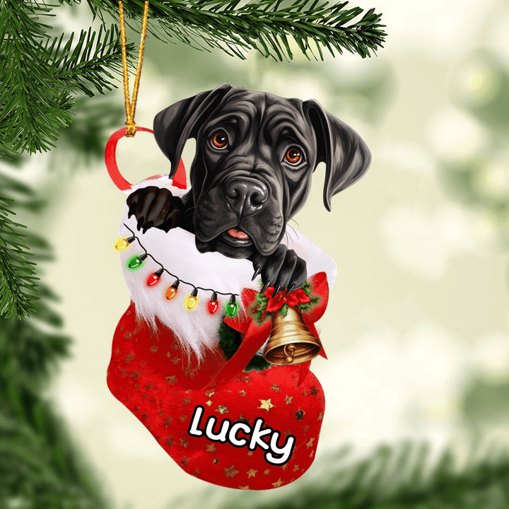 Customized Cane Corso in Stocking Christmas Ornament for Cane Corso Lovers