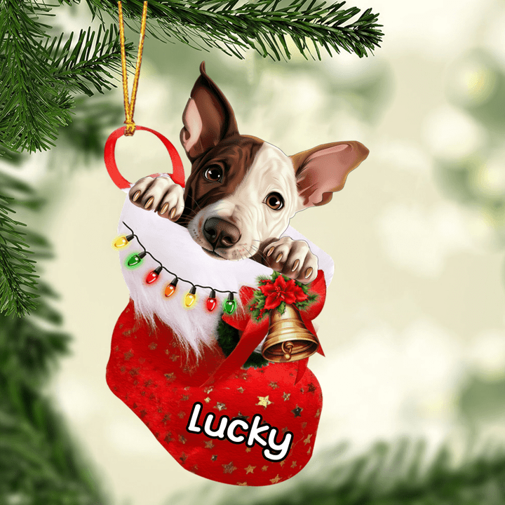 Customized Miniature Bull Terrier in Stocking Christmas Ornament for Miniature Bull Terrier Lovers