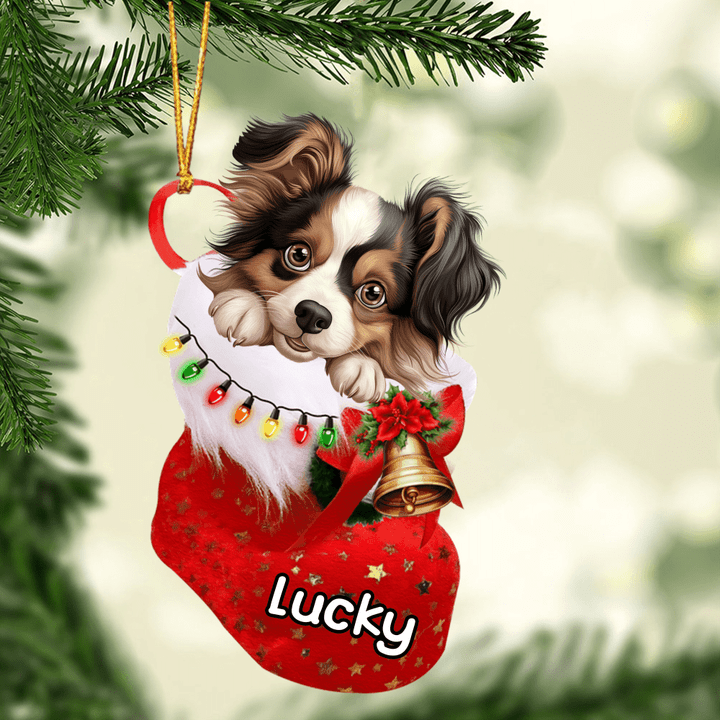 Customized Papillon in Stocking Christmas Ornament for Papillon Lovers