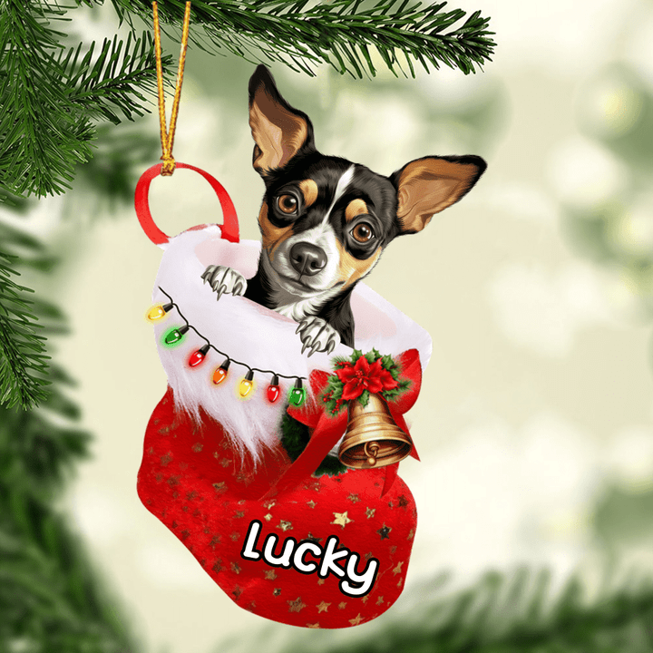 Customized Rat Terrier in Stocking Christmas Ornament for Rat Terrier Lovers