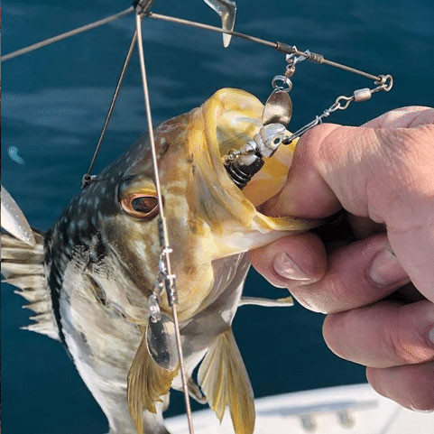 Umbrella Rig Fishing Lure 🔥HOT SALE 50%🔥
