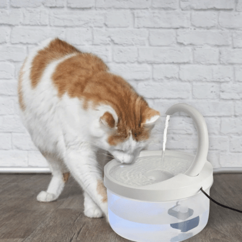 Intelligent Cat Drinking Water Dispenser 🔥 50% OFF - LIMITED TIME ONLY 🔥