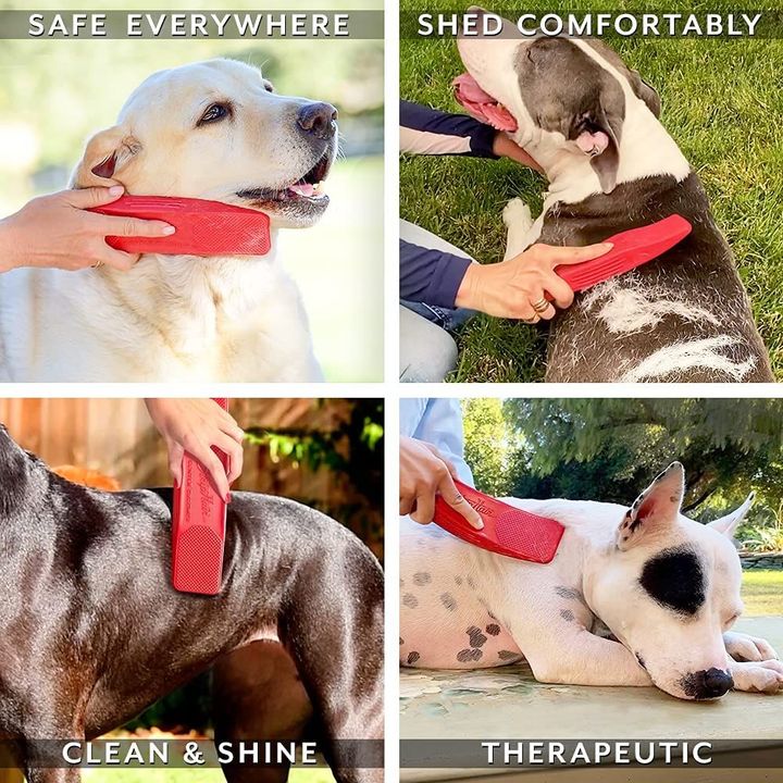 Original for Dogs 6-in-1 Shedding Grooming Massage 🔥 HOT DEAL - 50% OFF 🔥