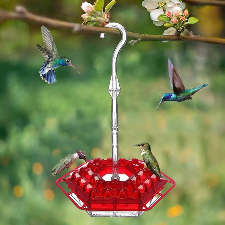 Mary's Sweety Hummingbird Feeder With Perch And Built-in Ant Moat