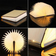 Book lamp