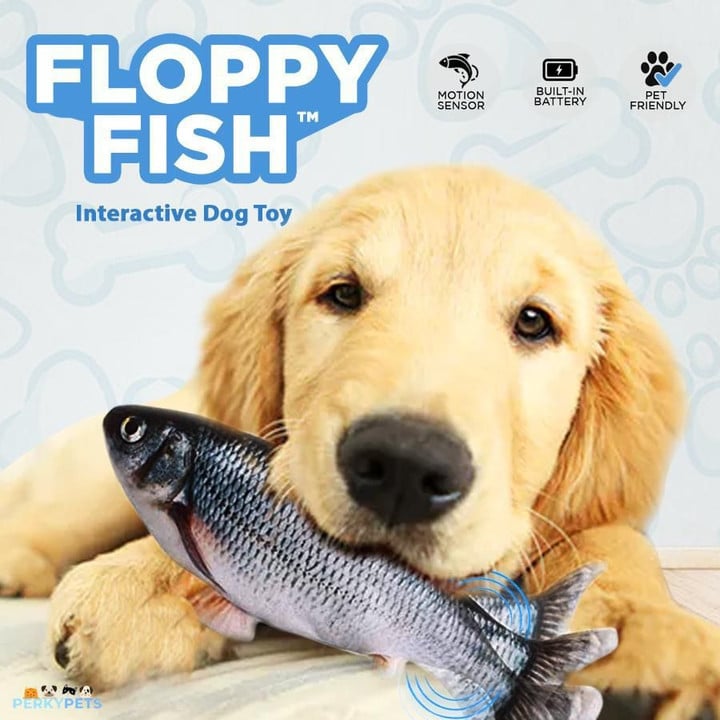 Floppy Fish - Interactive Toy