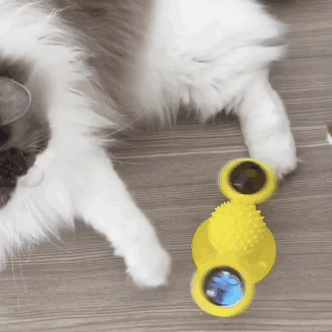 Cat Spinning Windmill Toy