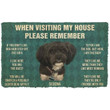 When Visitng My House Please Remember Aussiedoodle House Rules Doormat - 2