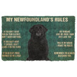 My Newfoundlands Rules In My House Doormat - 1