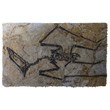 Flying Dinosaur Fossil Doormat - 1